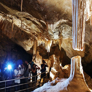 블루마운틴+제놀란동굴 일일투어 Blue Mountains Jenolan Caves